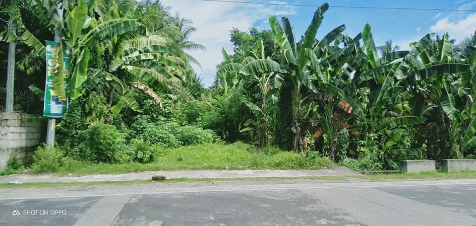 Commercial Lot For Sale - Along National Superhighway - photo 4