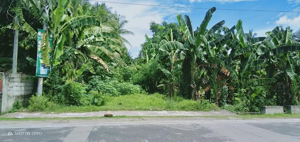 Commercial Lot For Sale - Along National Superhighway - photo 2