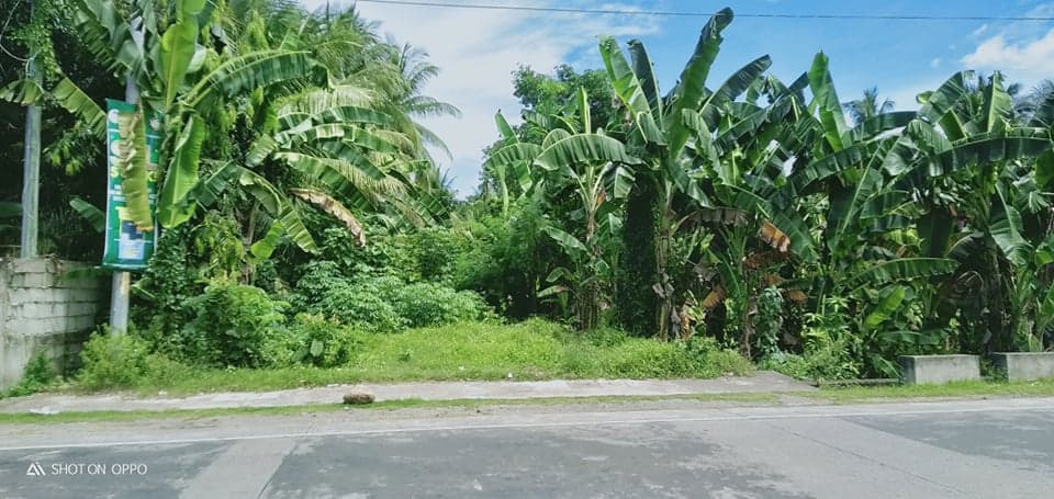 Commercial Lot For Sale - Along National Superhighway