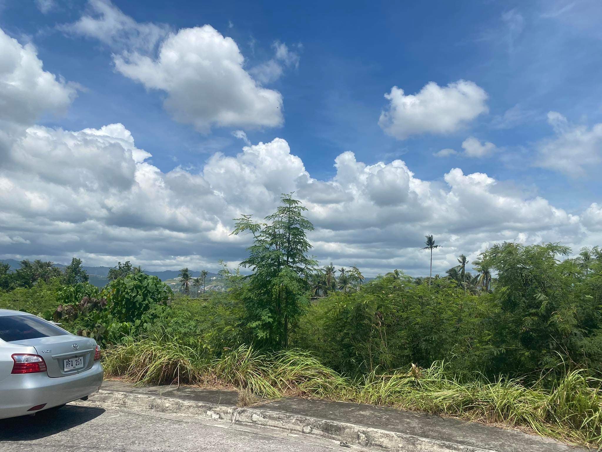 LOT FOR SALE in Corona Del Mar Subd. Talisay City - photo 6