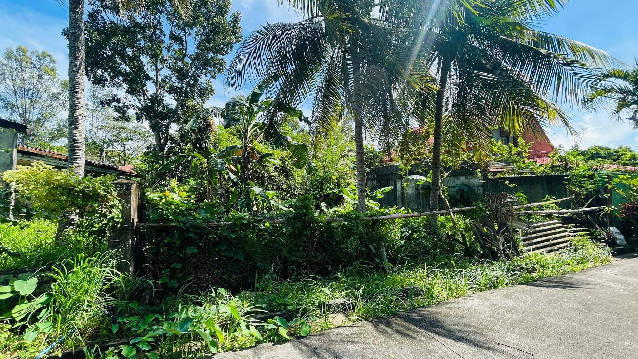 RUSH LOT FOR SALE! 355sq.m. Lot area | 09338238748 - photo 4