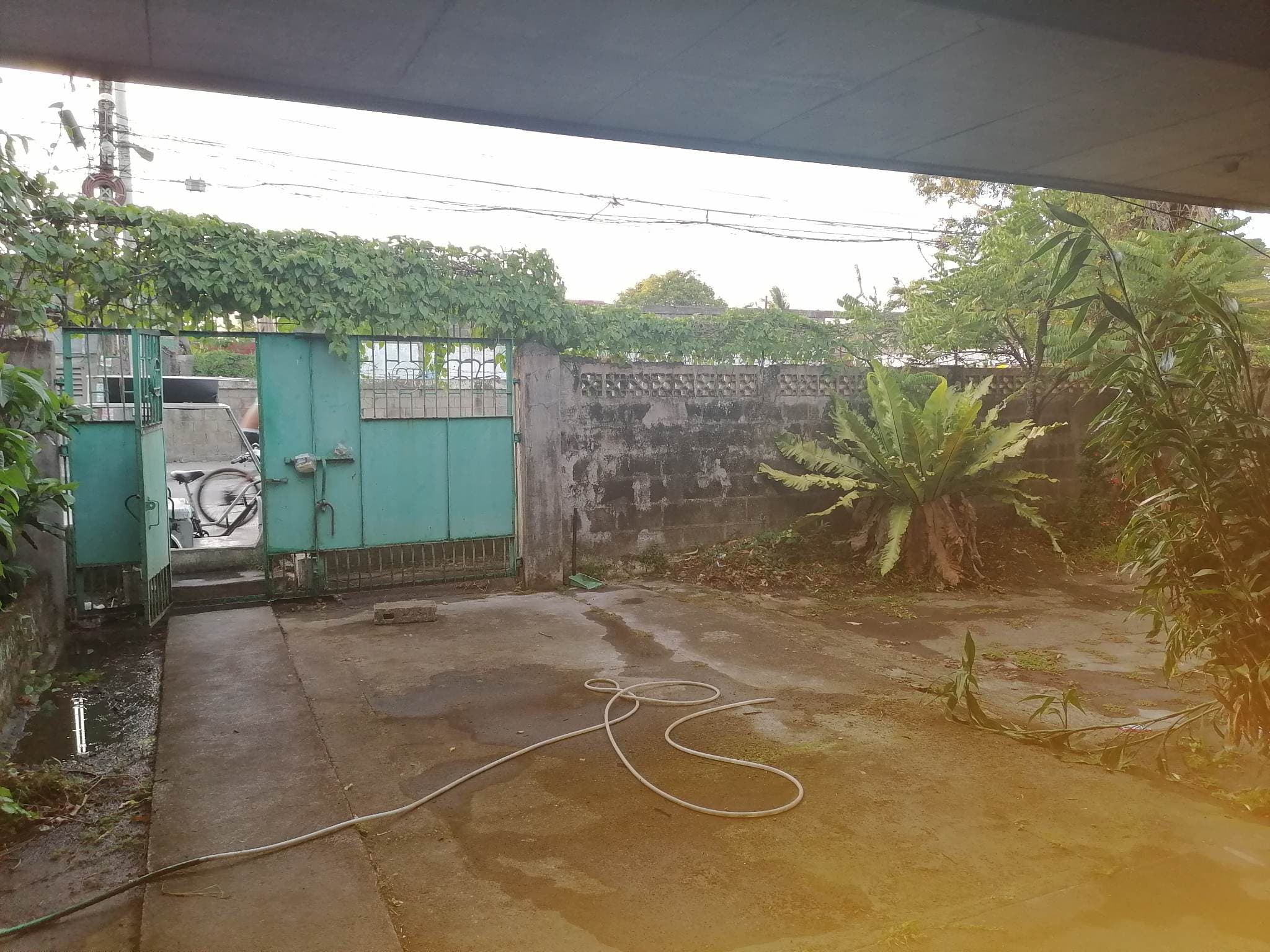 FOR SALE 330sq.m. Lot area - photo 3