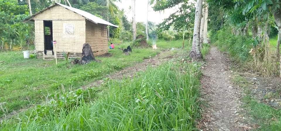 Lot for sale along provincial highway of Poblacion Pio V. Corpus Masbate - photo 3