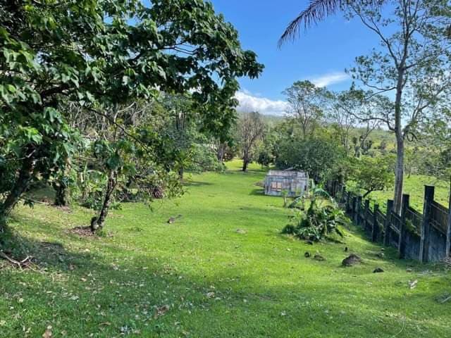 30 Big bungalow house for rent - photo 2