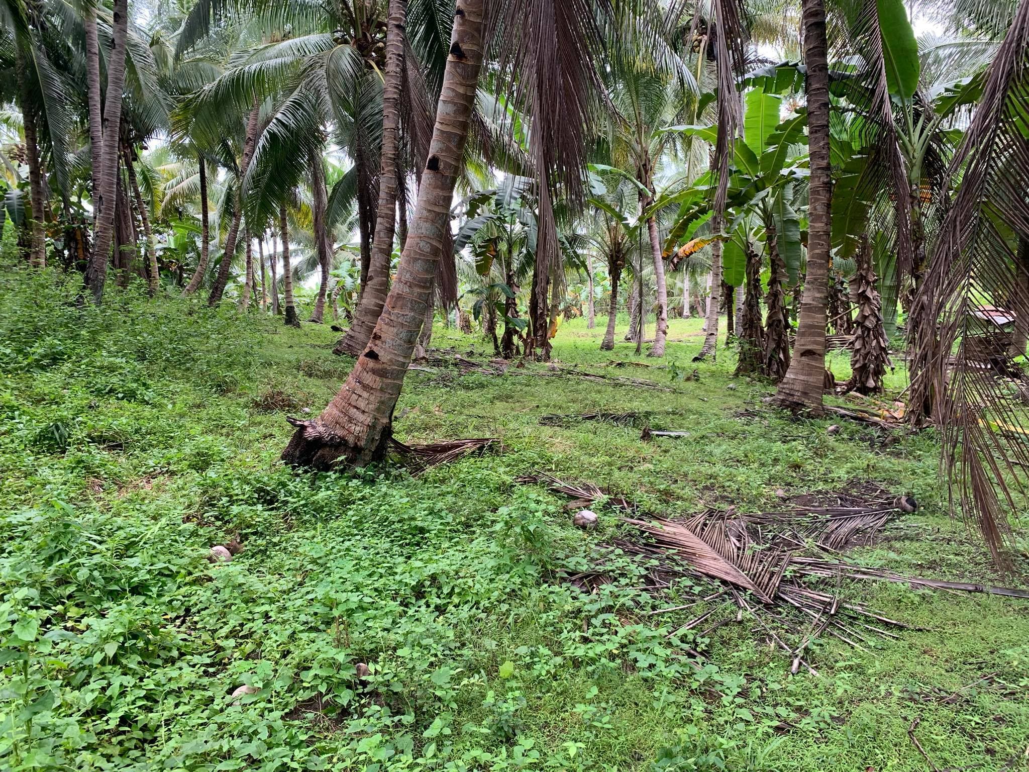 Taluya Glan Highway Property - photo 6