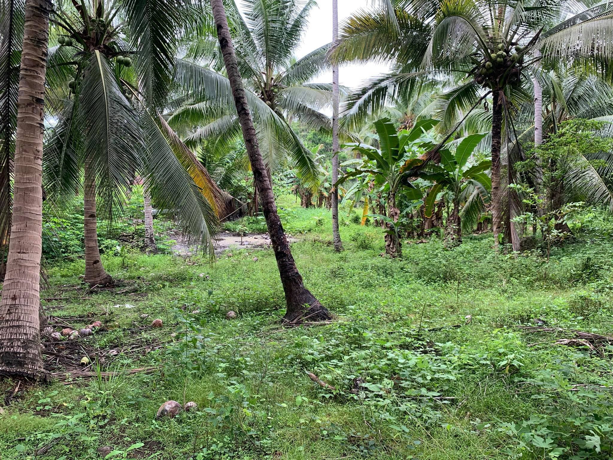 Taluya Glan Highway Property - photo 7