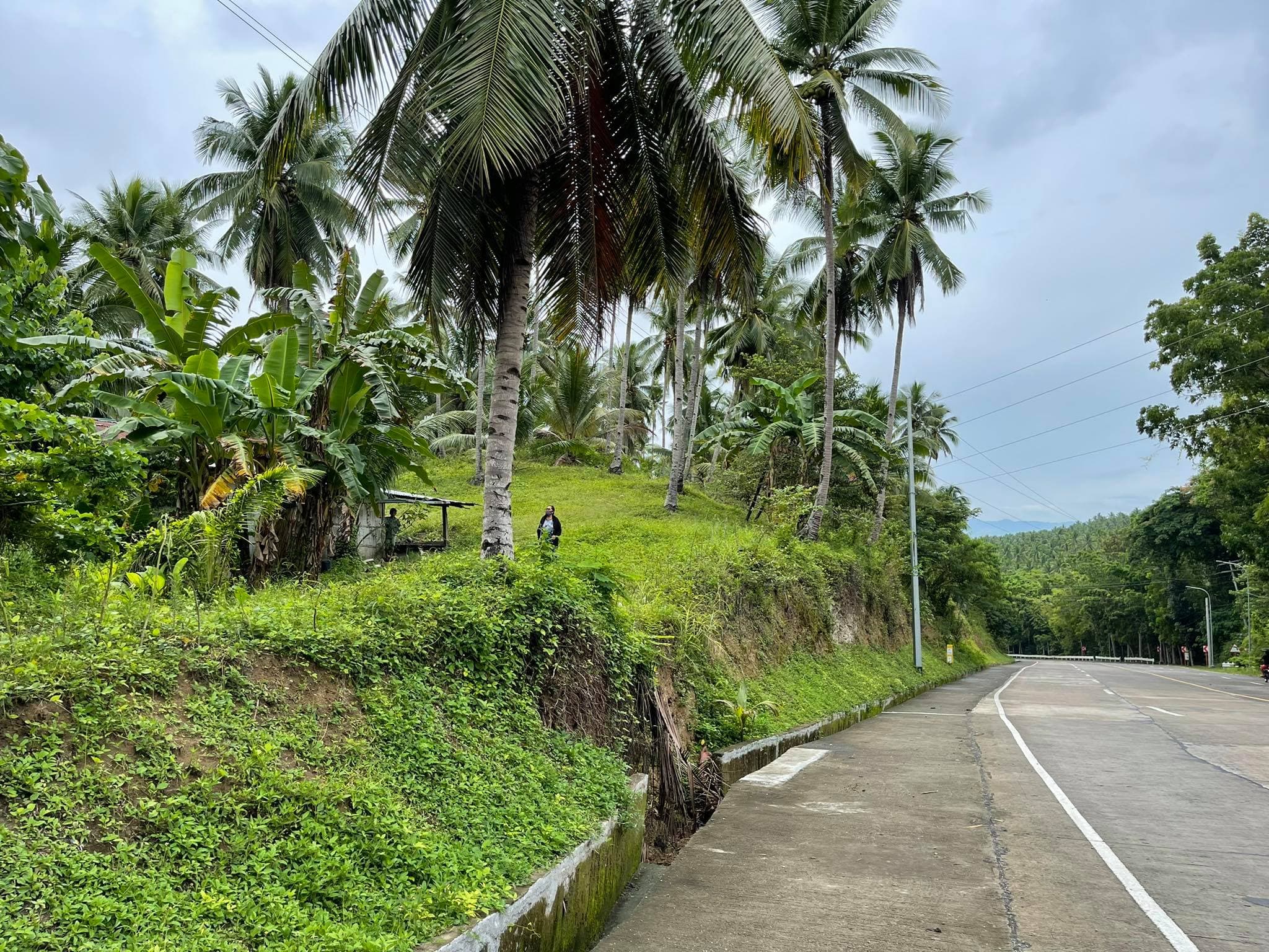 Taluya Glan Highway Property - photo 3