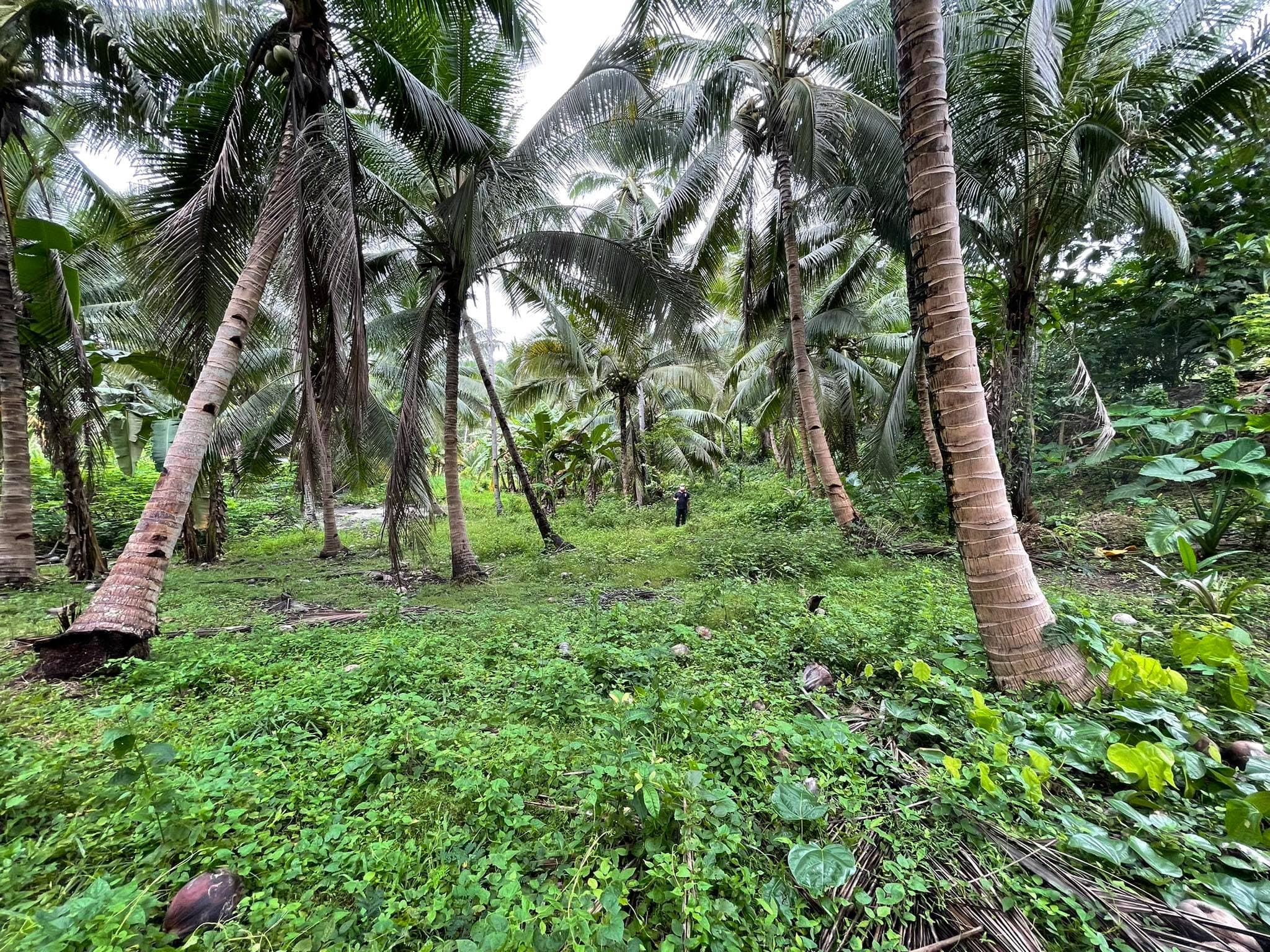 Taluya Glan Highway Property - photo 2