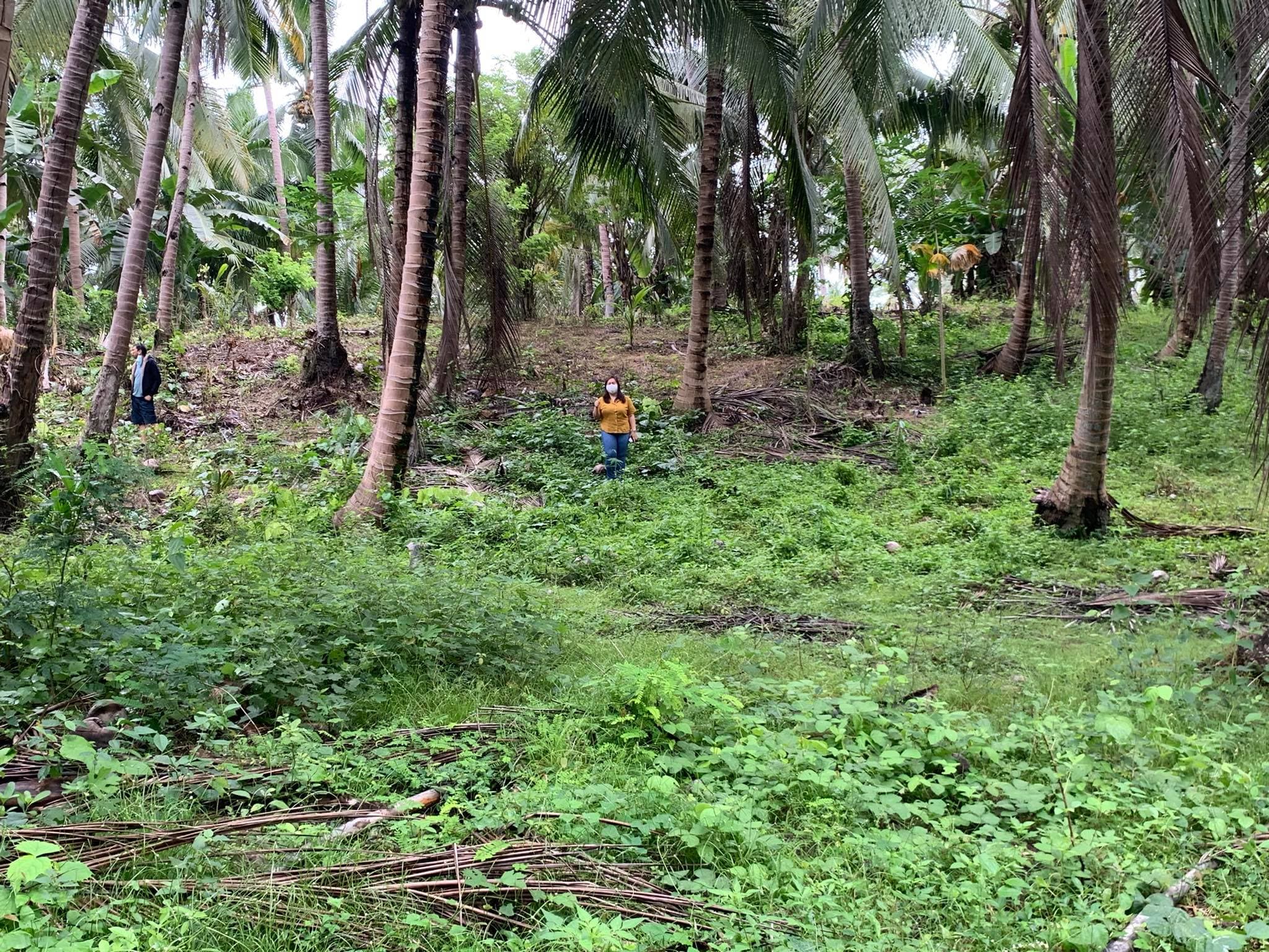 Taluya Glan Highway Property - photo 4