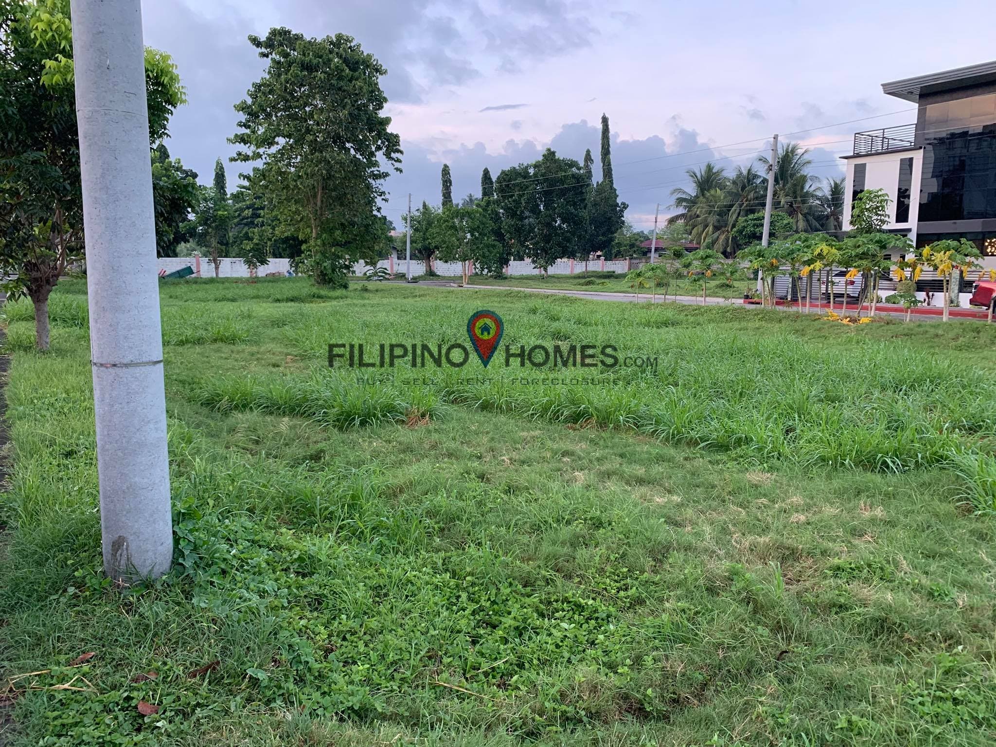 6 LOTS in COLINAS - photo 2