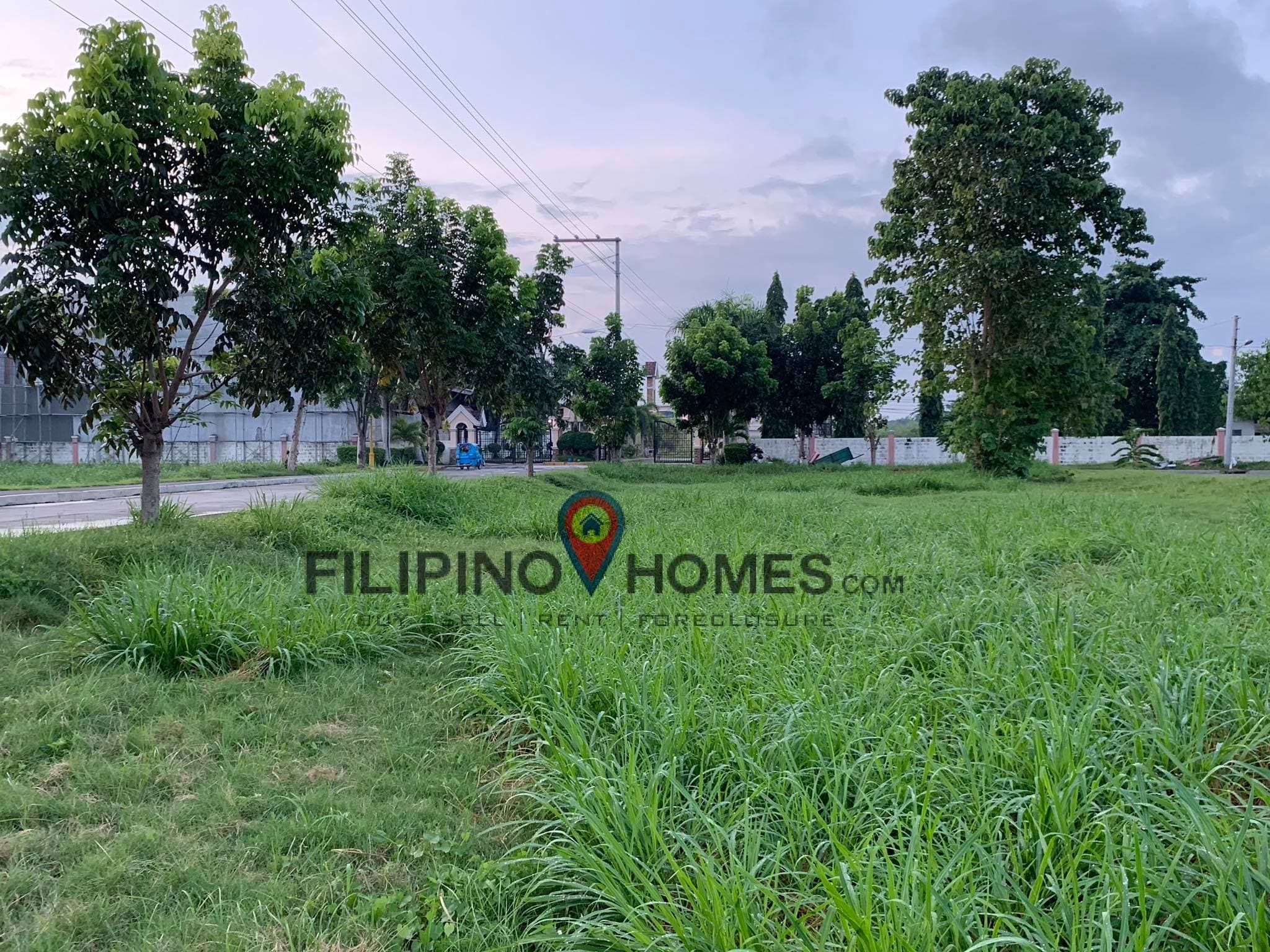 6 LOTS in COLINAS - photo 3