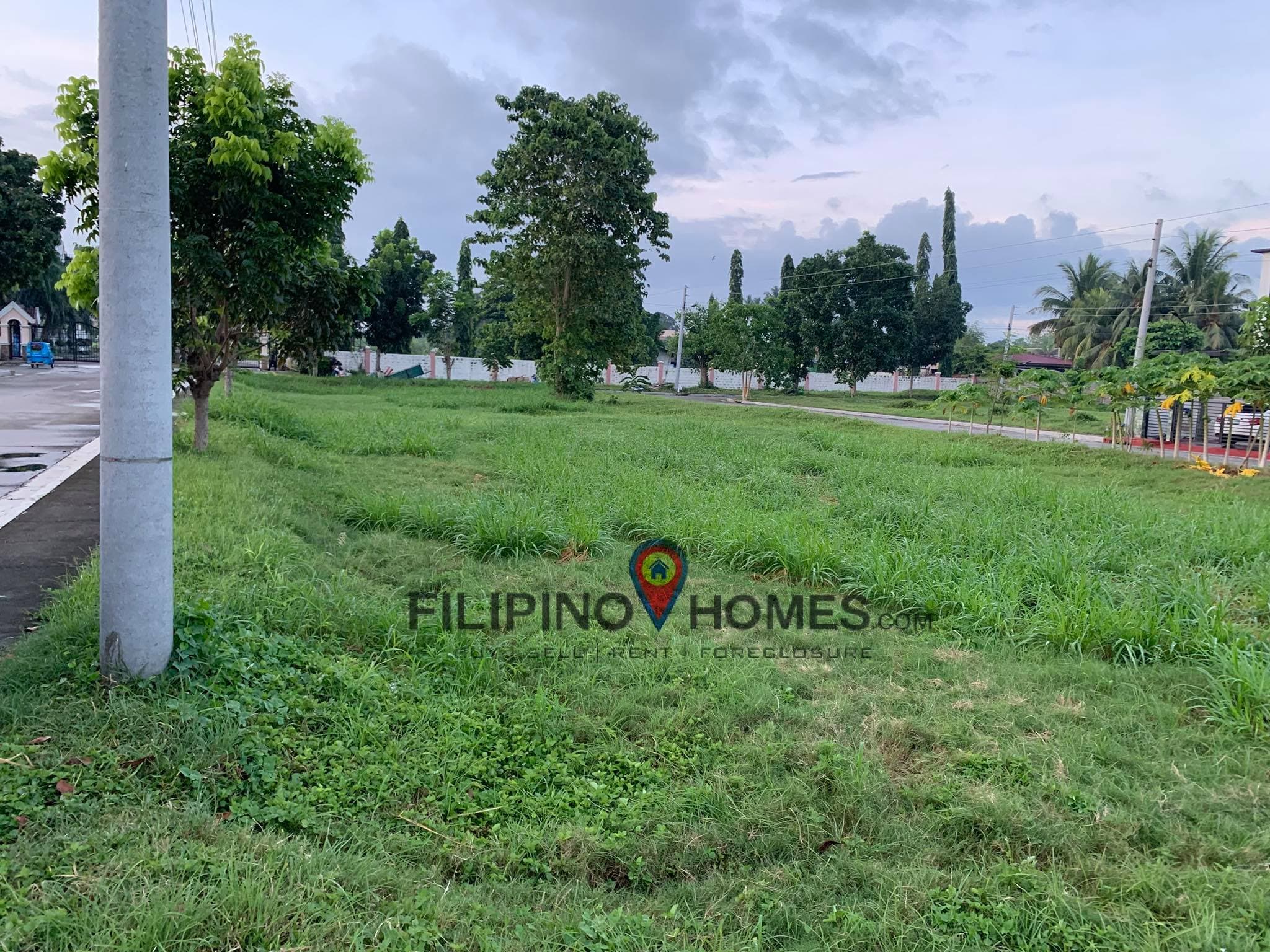 6 LOTS in COLINAS - photo 6