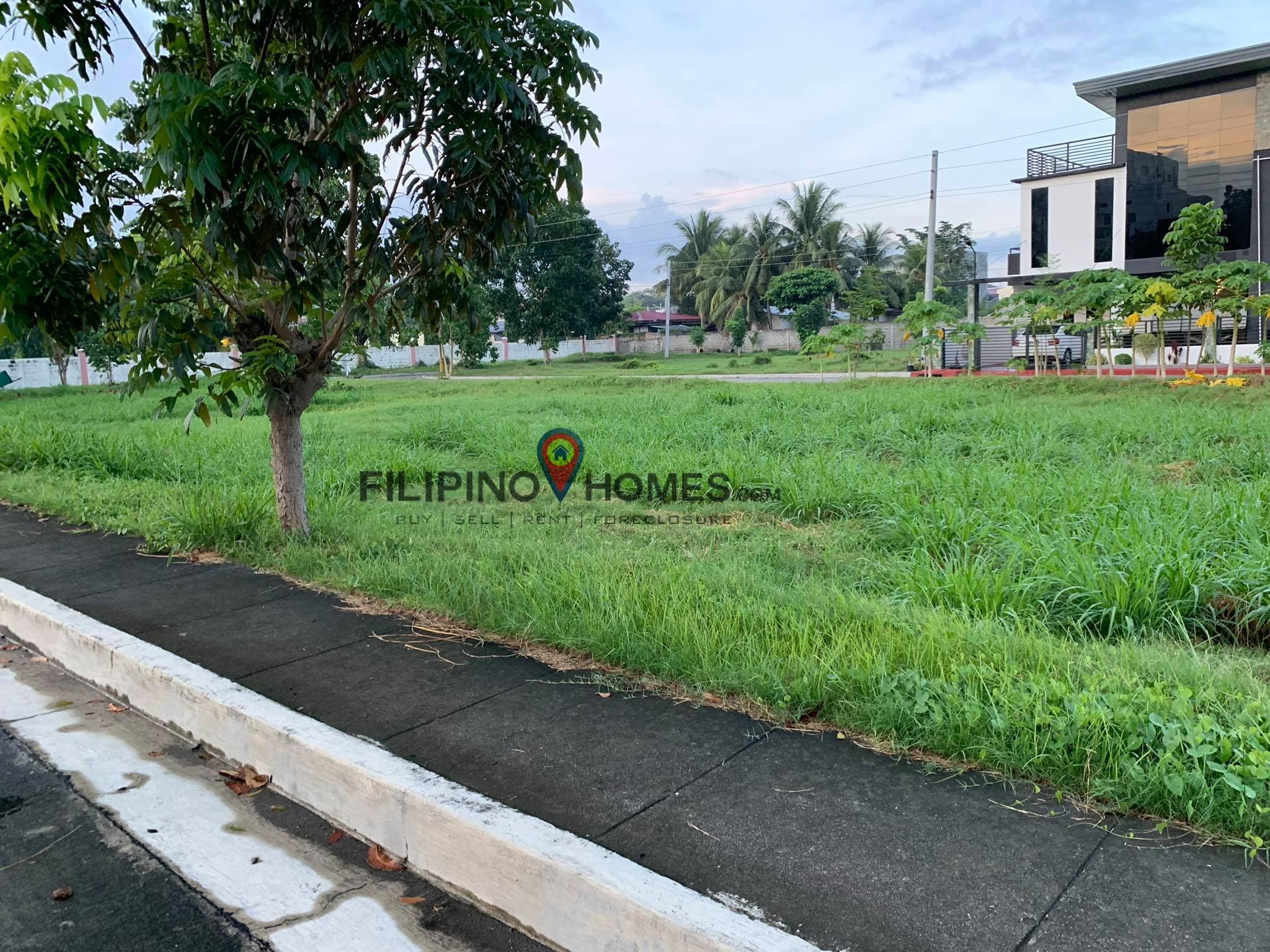 6 LOTS in COLINAS - photo 4