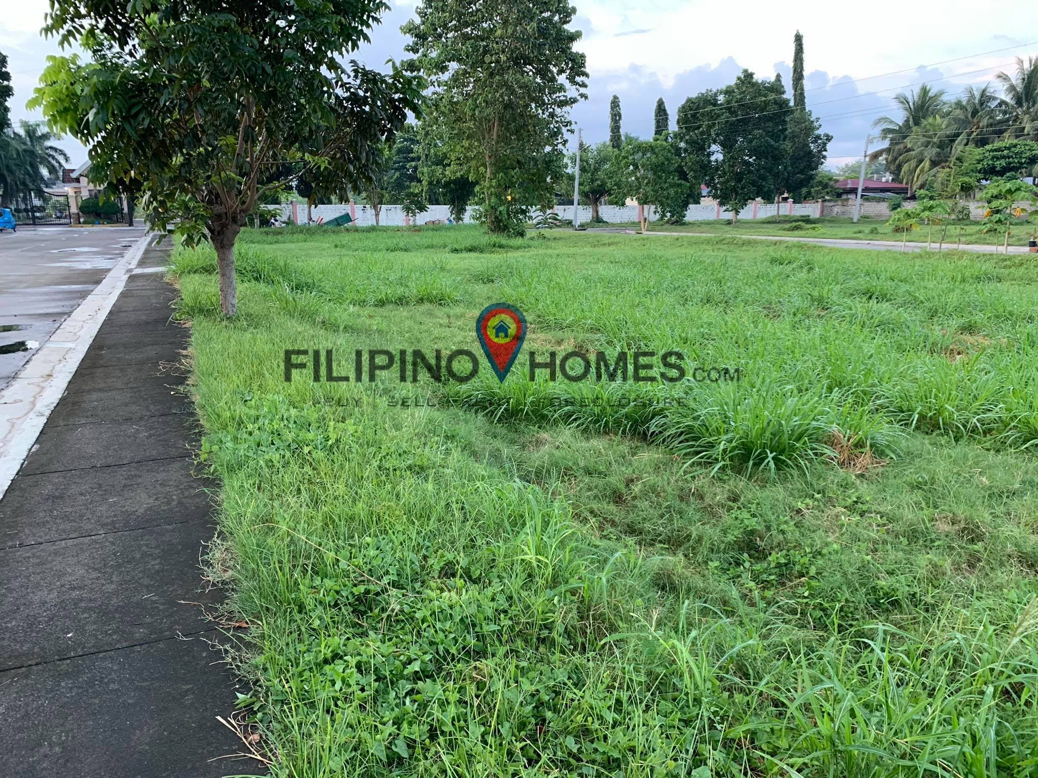 6 LOTS in COLINAS - photo 5