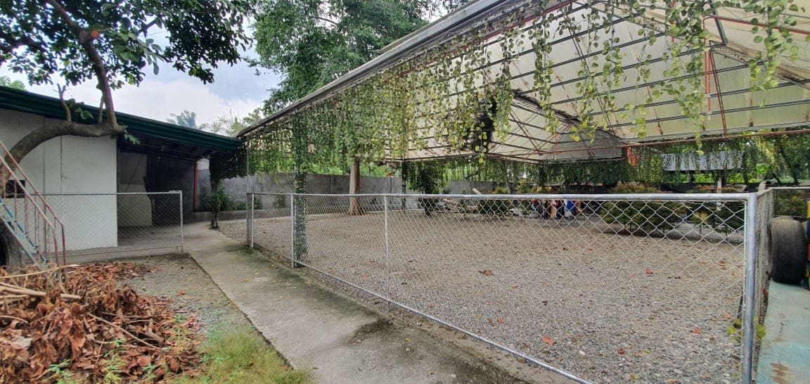 GUINTO PROPERTY W/ BUILDING STRUCTURES - photo 6