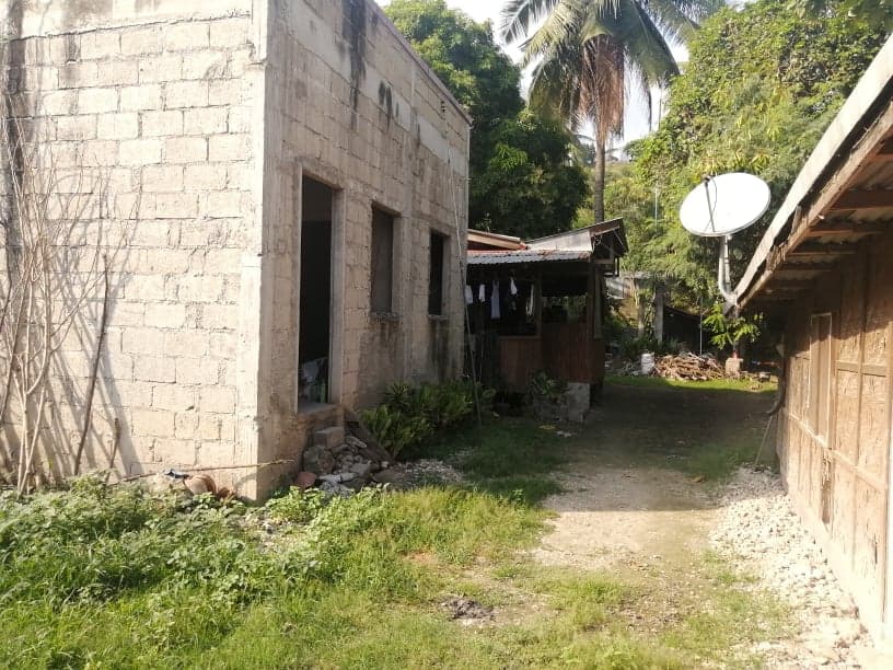 LOT FOR SALE IN LAGTANG TALISAY - photo 3