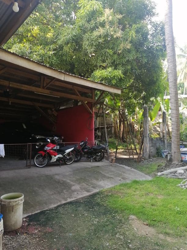 LOT FOR SALE IN LAGTANG TALISAY - photo 6