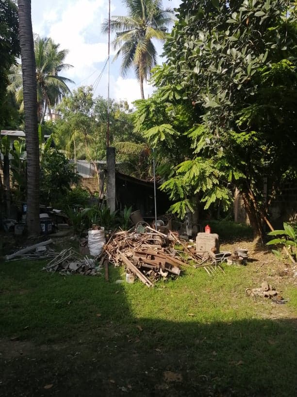 LOT FOR SALE IN LAGTANG TALISAY - photo 4