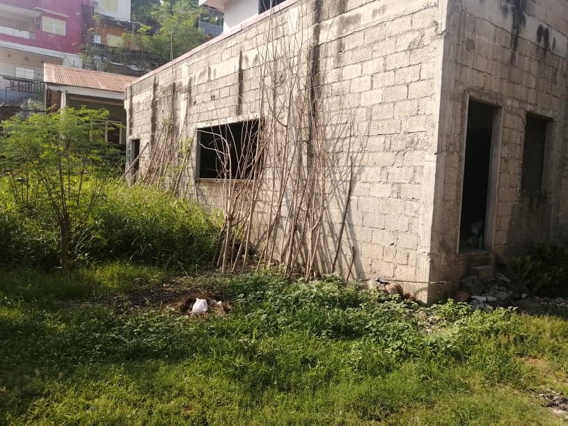 LOT FOR SALE IN LAGTANG TALISAY - photo 2