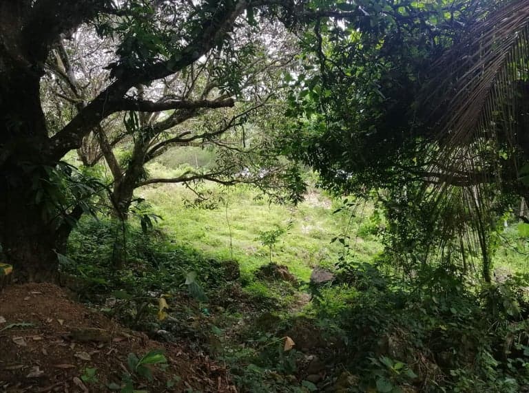 LOT FOR SALE IN BUSAY NEGOTIABLE - photo 5