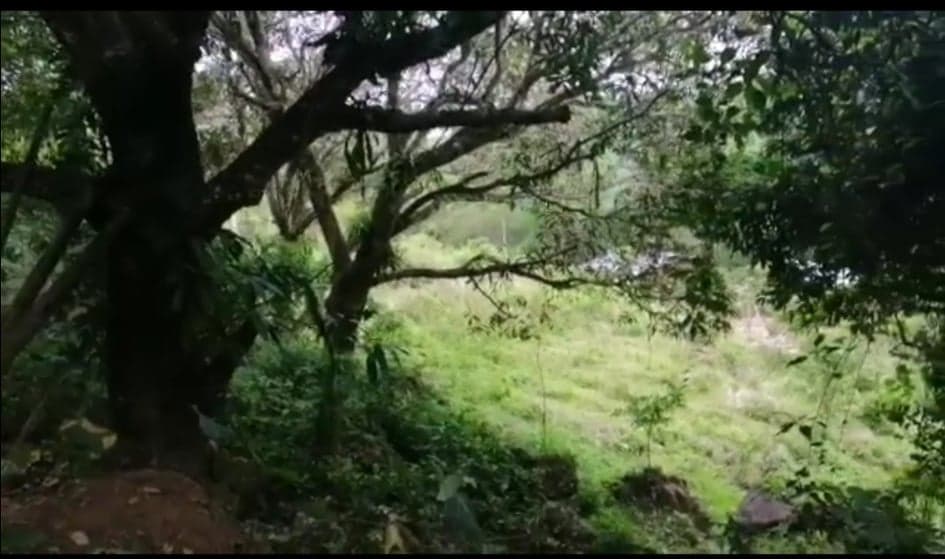 LOT FOR SALE IN BUSAY NEGOTIABLE - photo 3