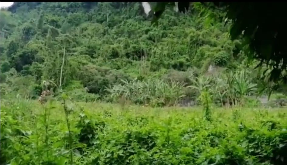 LOT FOR SALE IN BUSAY NEGOTIABLE - photo 1