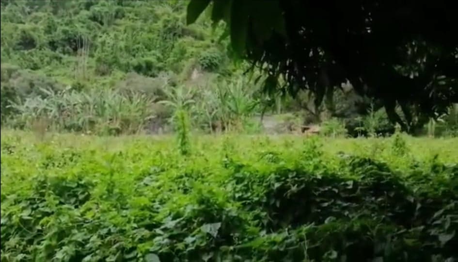 LOT FOR SALE IN BUSAY NEGOTIABLE - photo 2