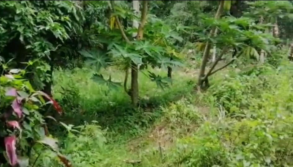 LOT FOR SALE IN BUSAY NEGOTIABLE - photo 4