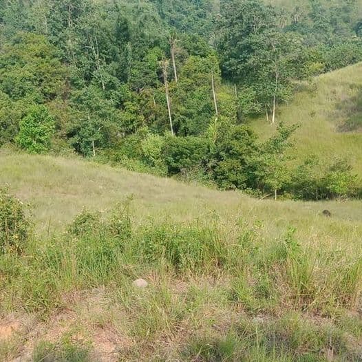 For Sale Titled LOT - photo 1