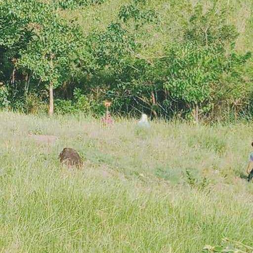 For Sale Titled LOT - photo 3