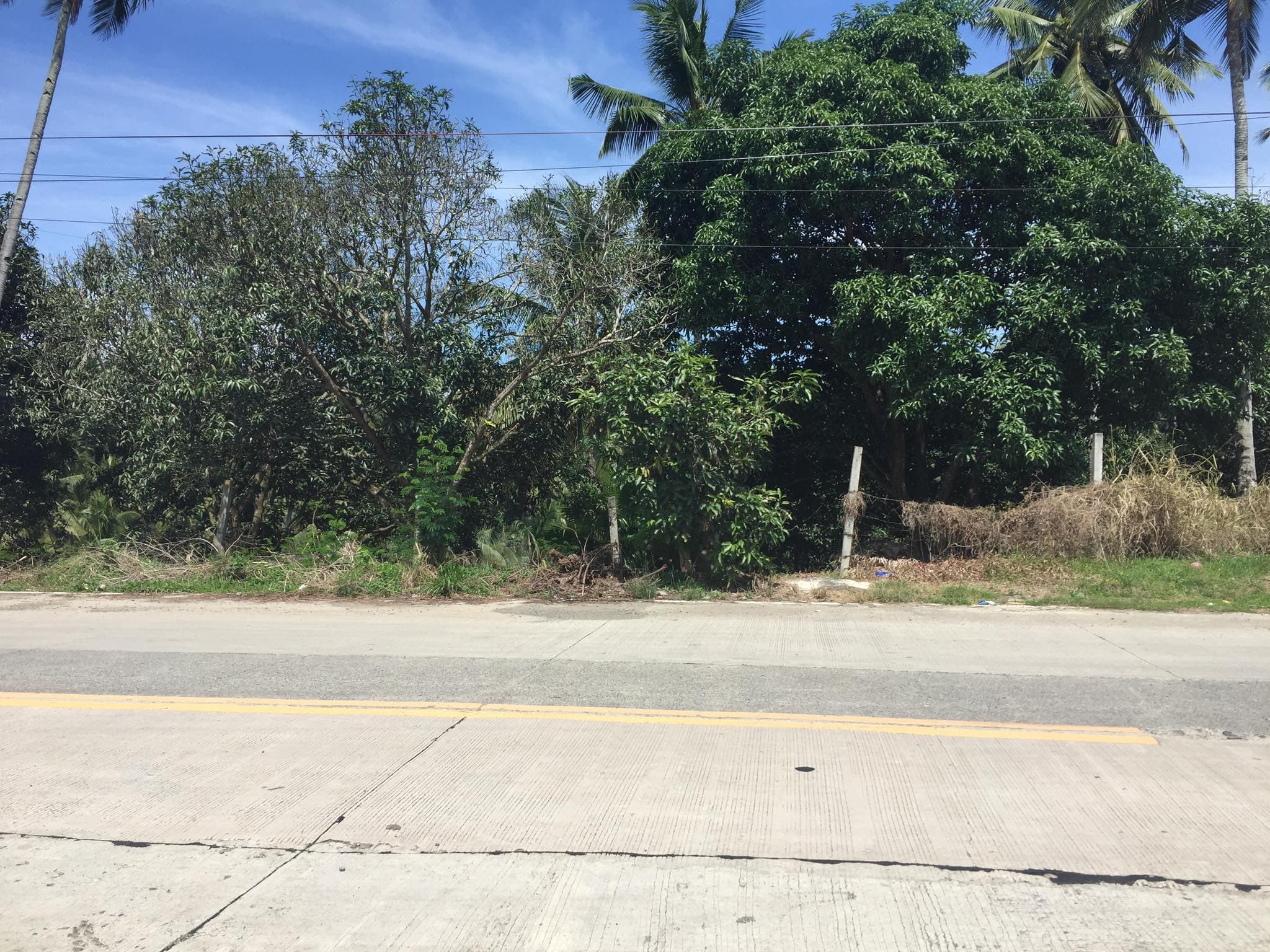 MUDIANG COMMERCIAL LOT - photo 3