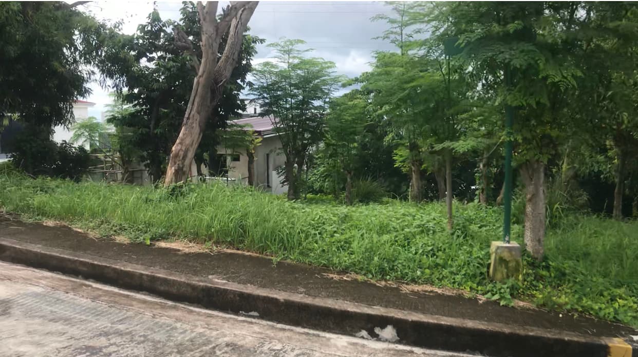 Vista Grande Pacific Heights Lot For Sale - photo 3