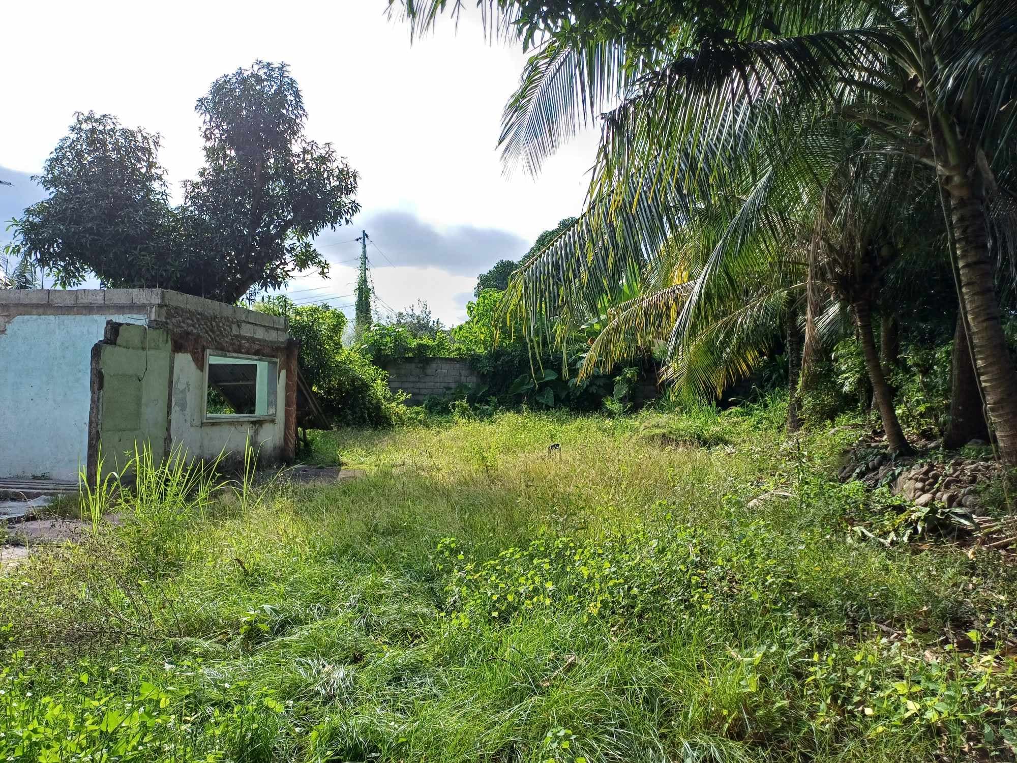 Lots for Sale in Batinguel Dumaguete City - photo 3