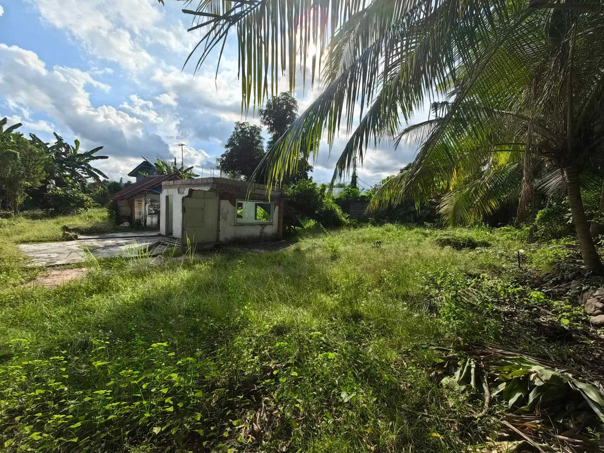 Lots for Sale in Batinguel Dumaguete City - photo 2