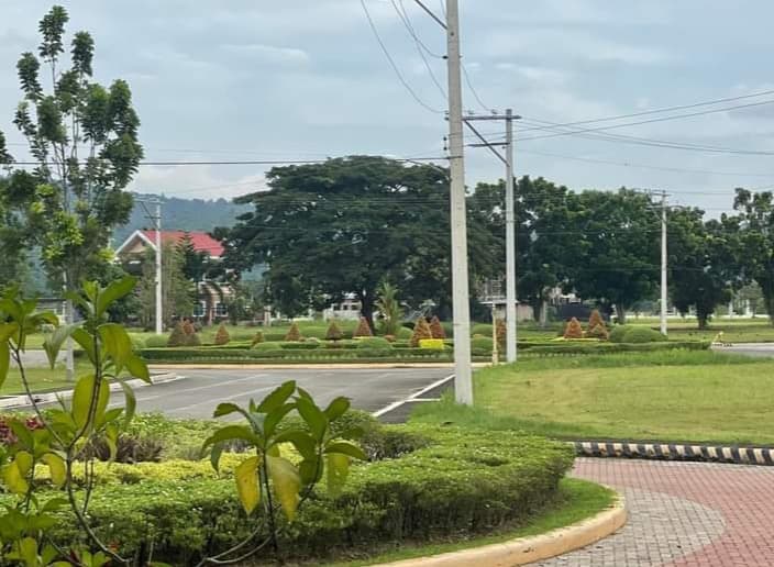 For Sale Lot only - photo 3