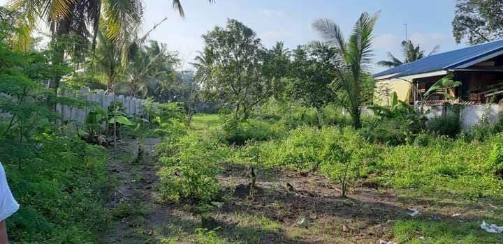 BRGY BATO TOLEDO CITY - photo 6