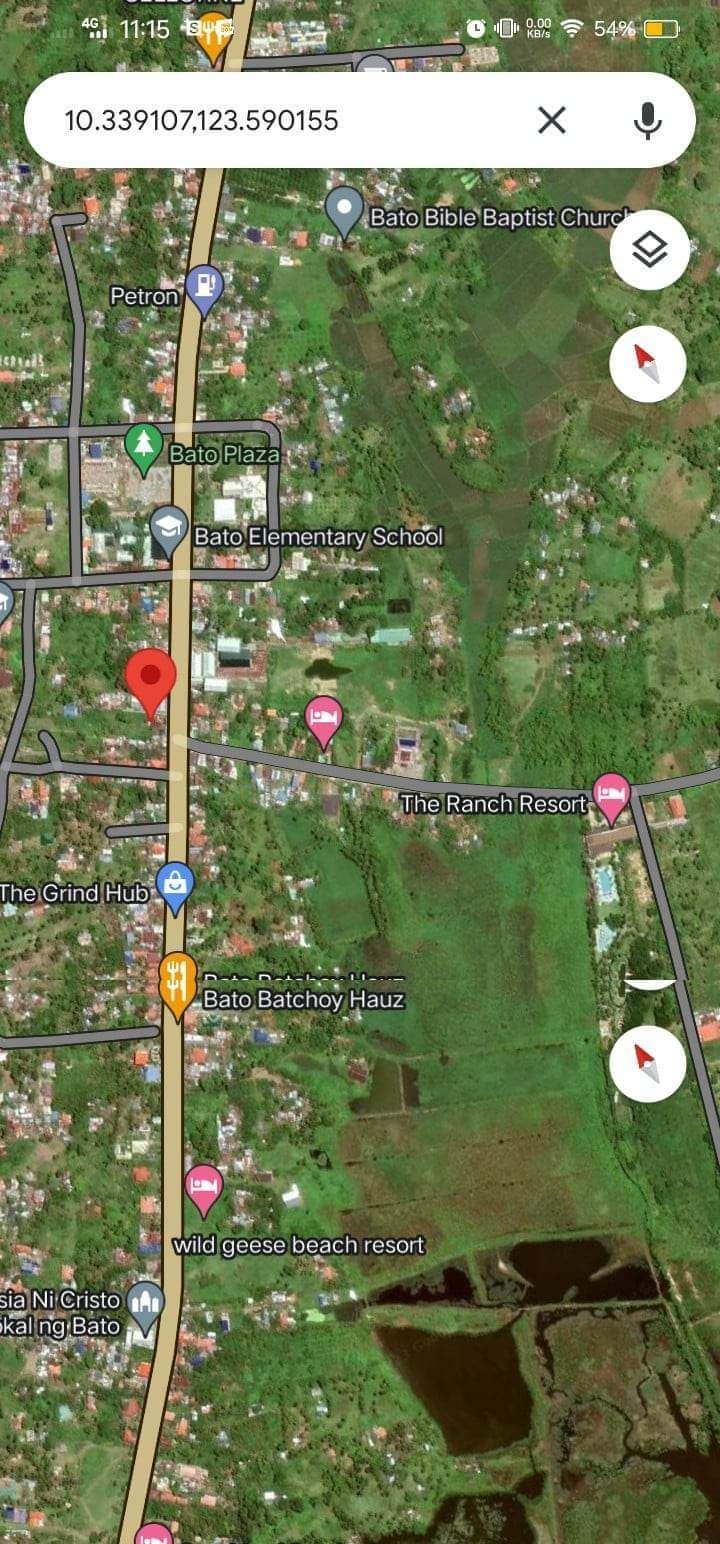 BRGY BATO TOLEDO CITY - photo 5