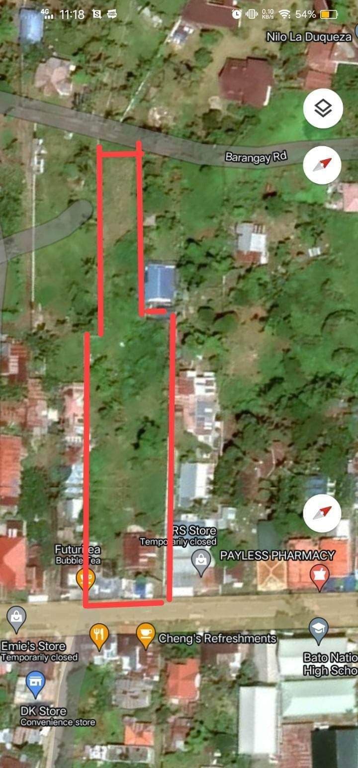 BRGY BATO TOLEDO CITY - photo 3