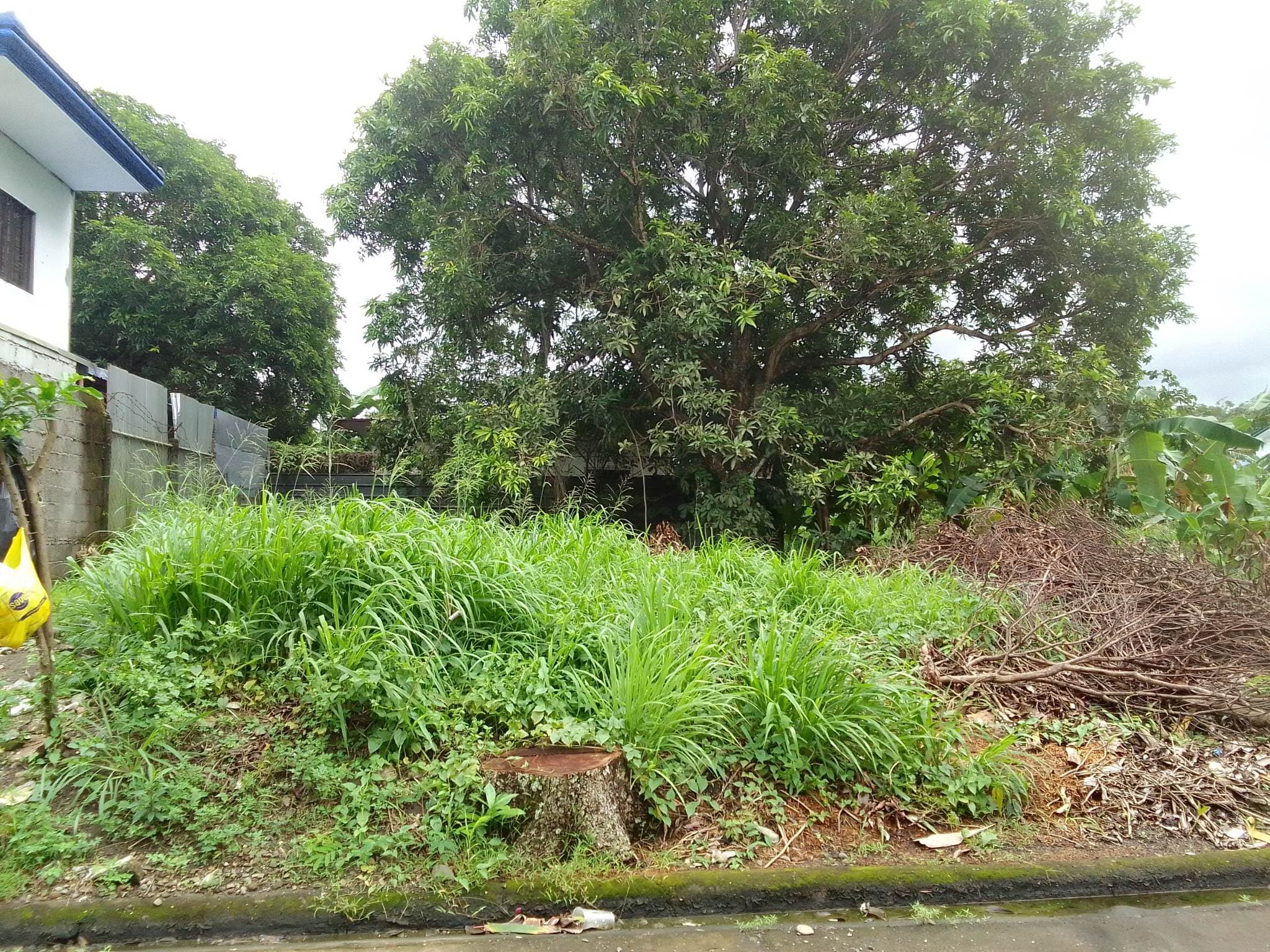 222SQM LOT FOR SALE GOLDCREST VILLAGE PHASE 3 - photo 2