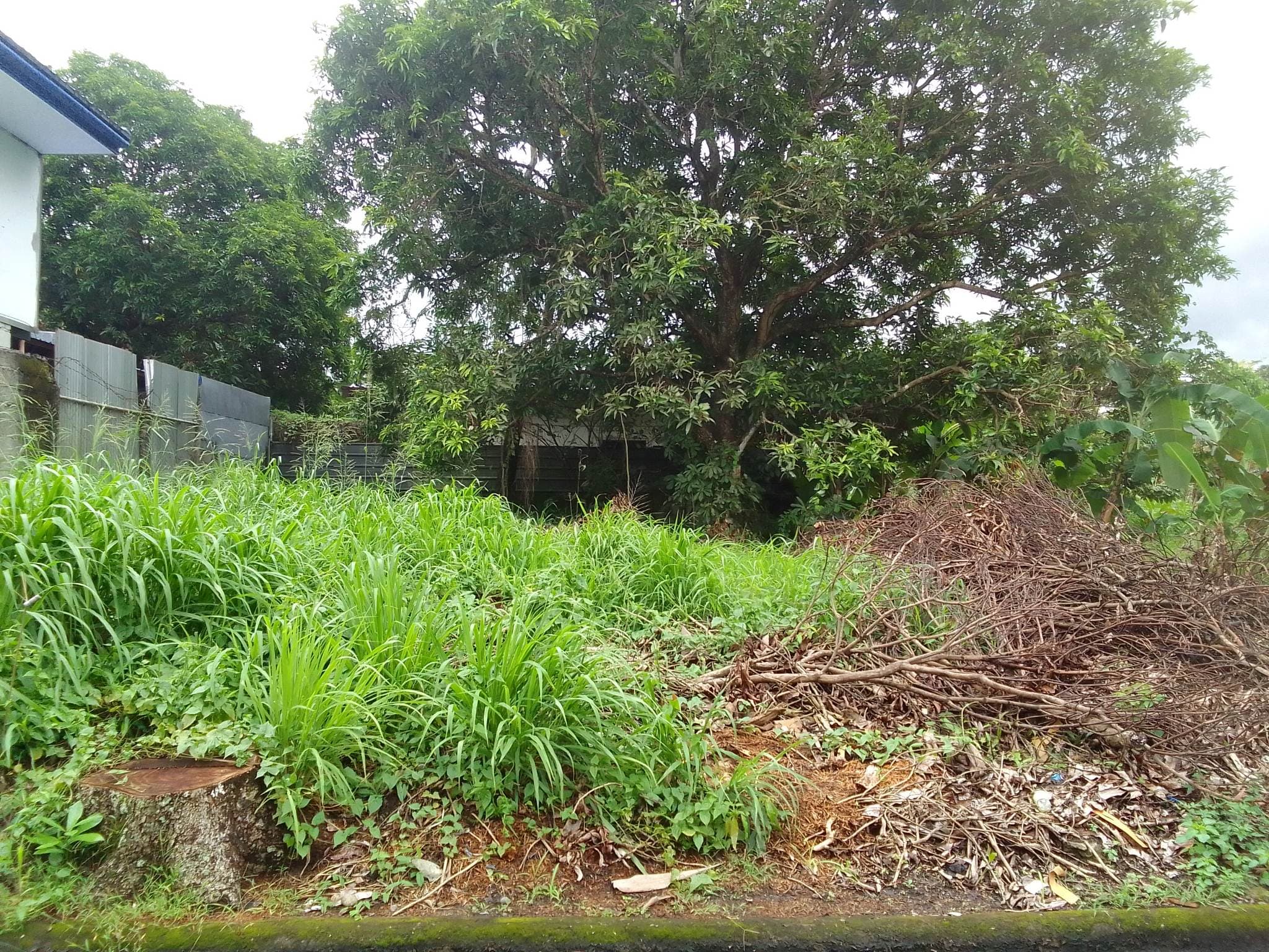 222SQM LOT FOR SALE GOLDCREST VILLAGE PHASE 3 - photo 4