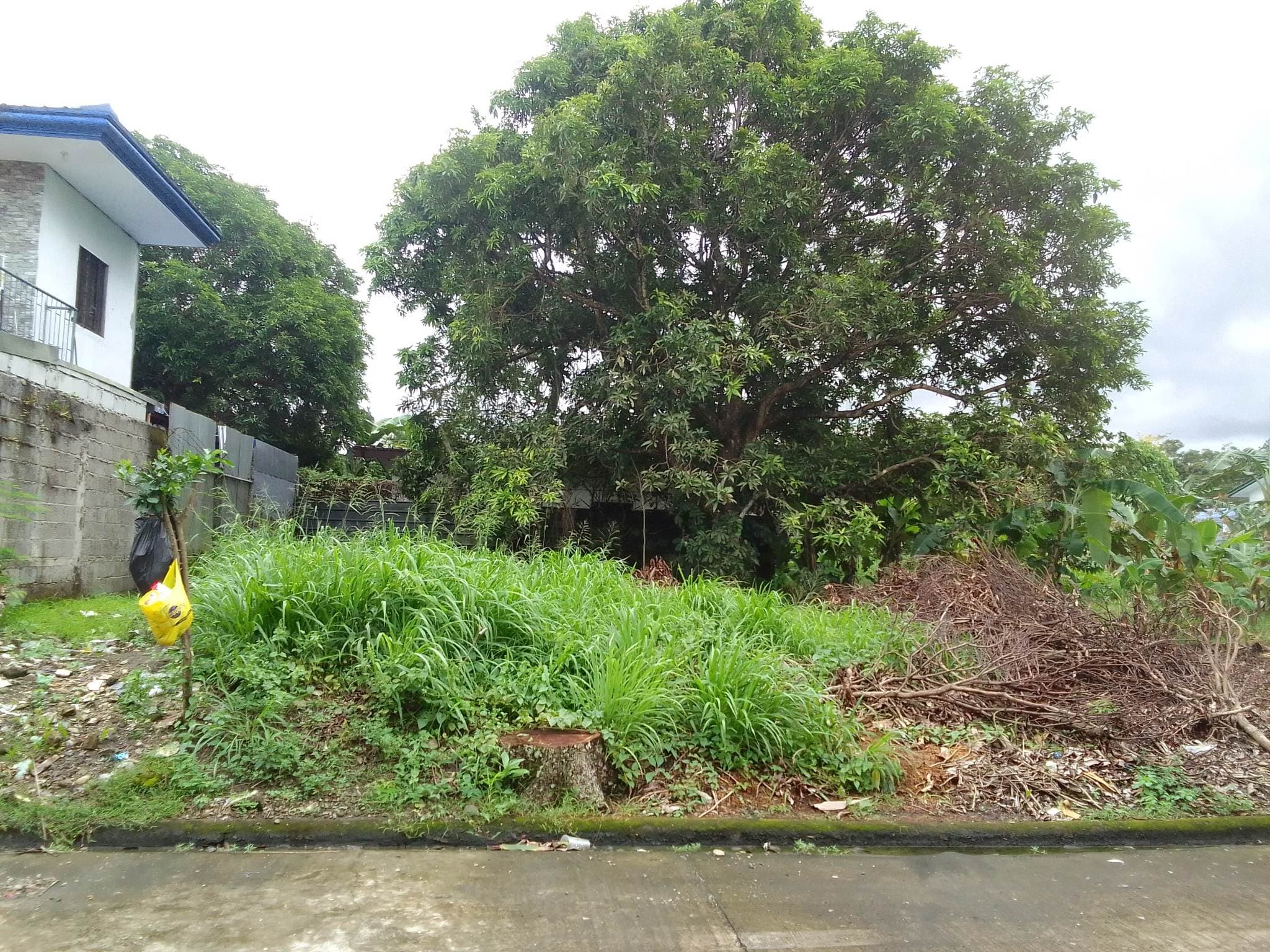 222SQM LOT FOR SALE GOLDCREST VILLAGE PHASE 3 - photo 3