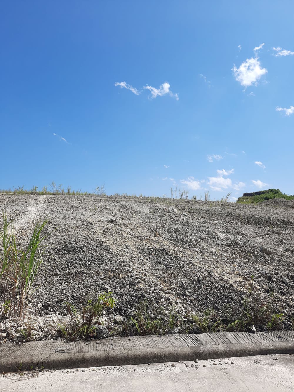 Premier Lot with Panoramic Views of Cebu at Monte De Piedra - photo 1