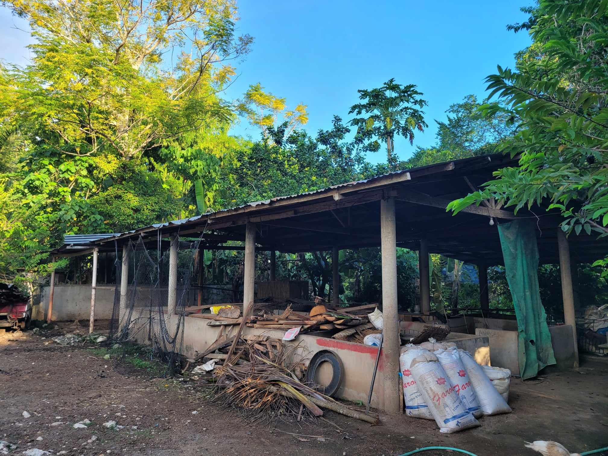 HOUSE AND LOT FOR SALE IN BAWO, SOGOD, CEBU