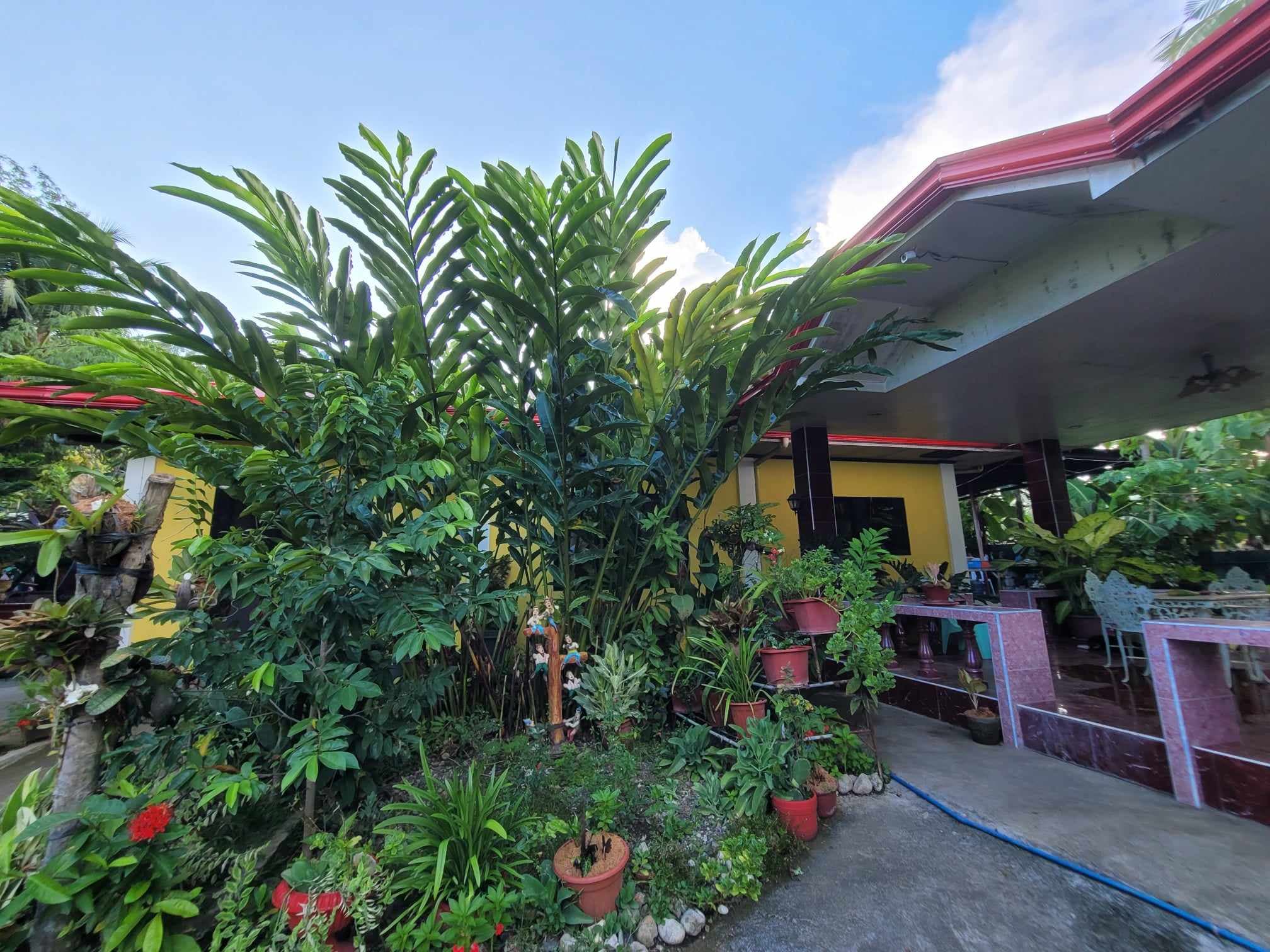 HOUSE AND LOT FOR SALE IN BAWO, SOGOD, CEBU - photo 5