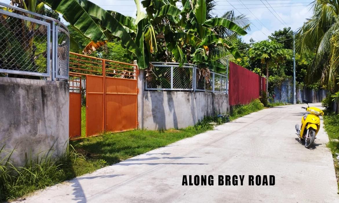 LOT FOR SALE IN SAN FERNANDO CEBU
