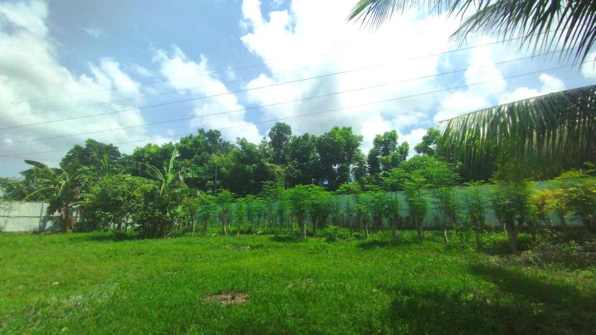 LOT FOR SALE IN SAN FERNANDO CEBU - photo 3