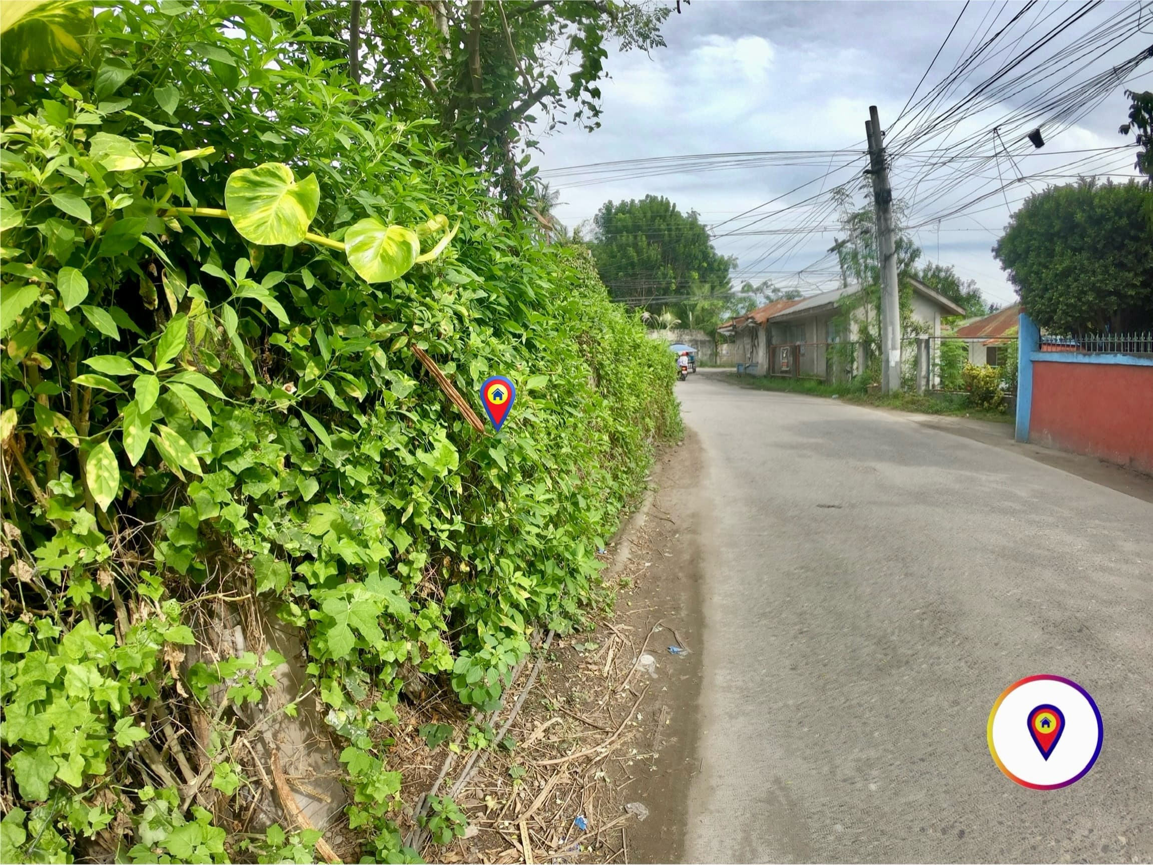 Corner Commercial / Residential Lot For Sale Along Concrete Road at Junob, Dumaguete City - photo 3