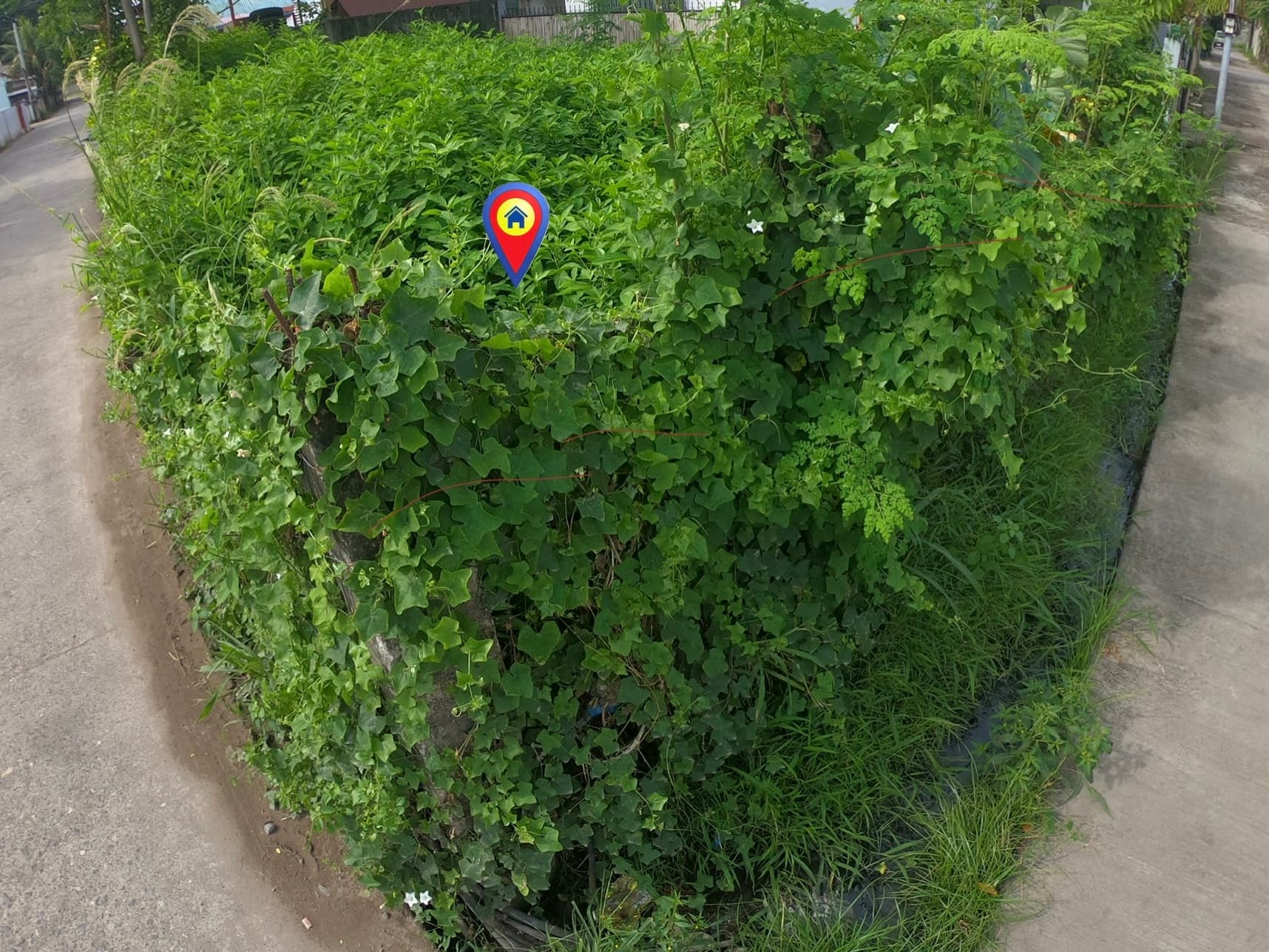 Corner Commercial / Residential Lot For Sale Along Concrete Road at Junob, Dumaguete City - photo 5