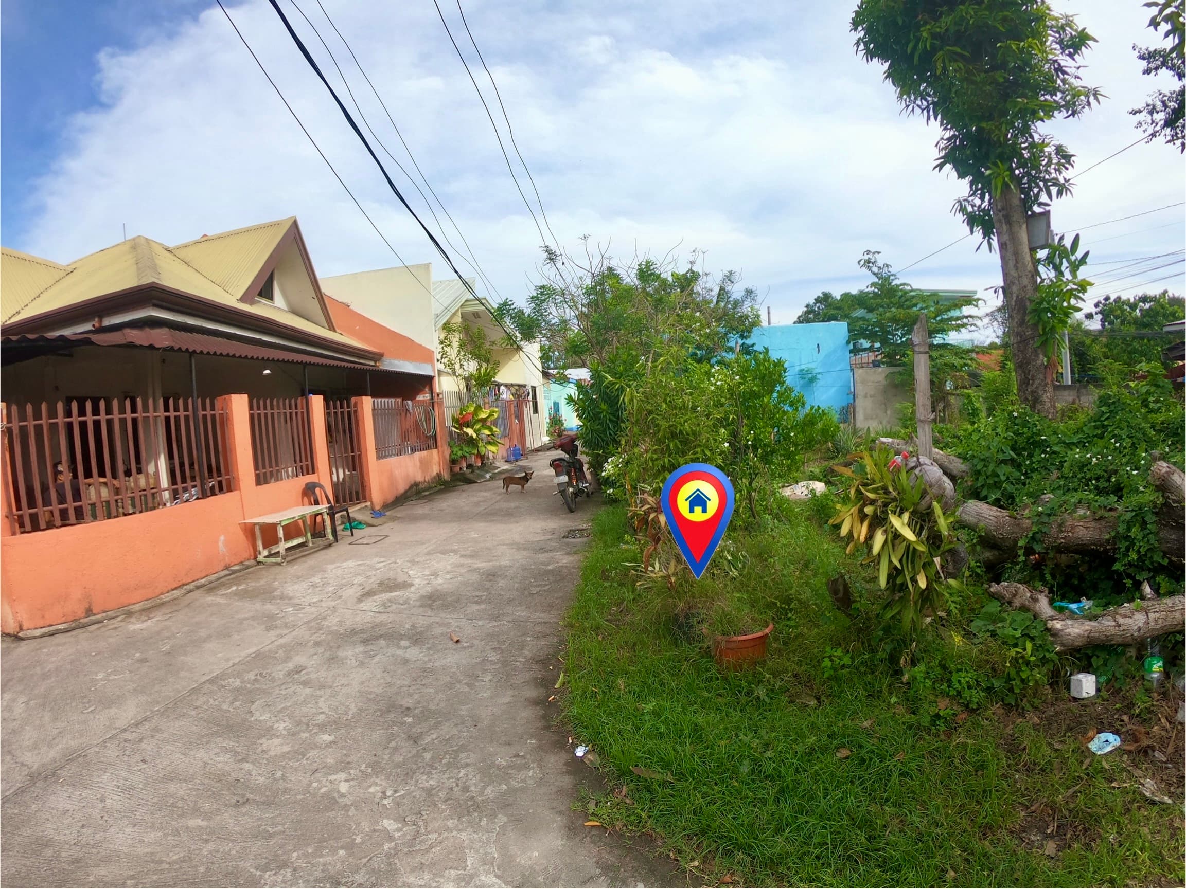 Commercial / Residential Dual Corner Lot For Sale Along Concrete Road at Junob, Dumaguete City - photo 2