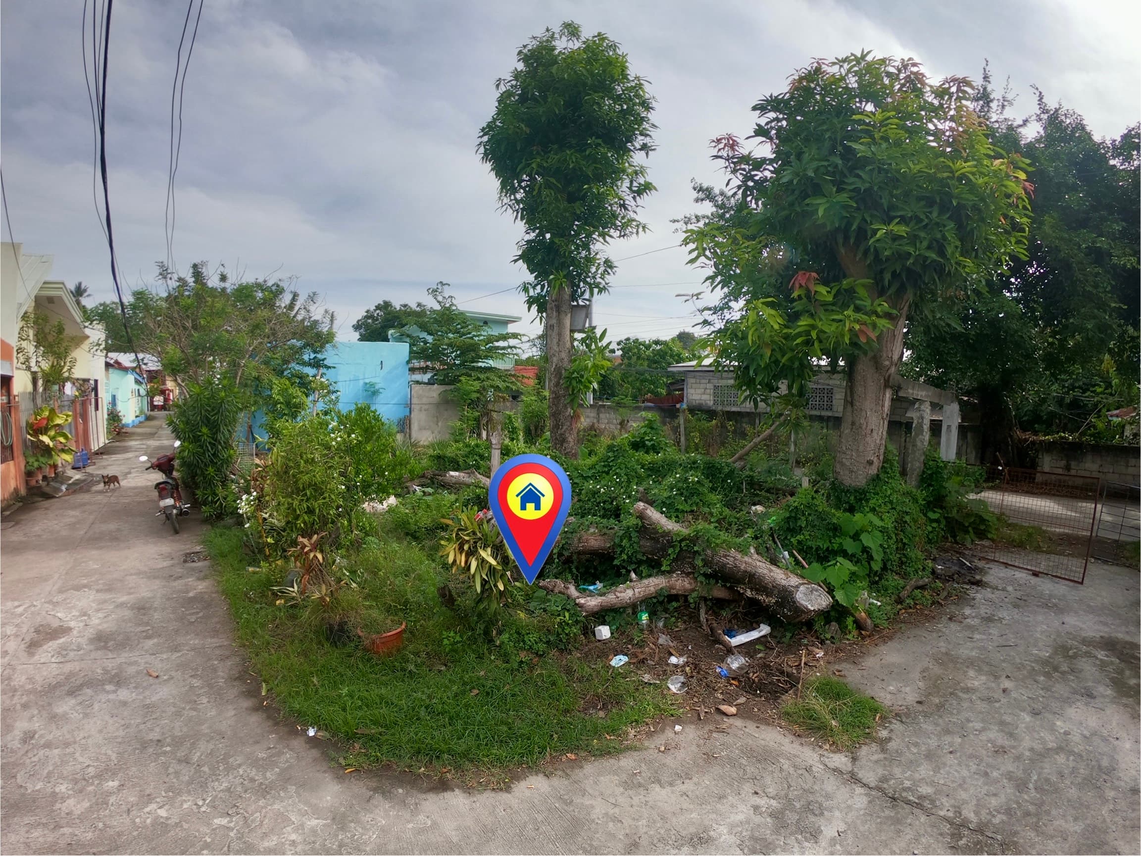 Commercial / Residential Dual Corner Lot For Sale Along Concrete Road at Junob, Dumaguete City